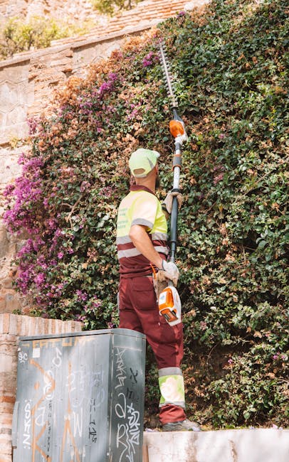 A gardener wearing a light green cap, a high-visibility vest with reflective stripes, and maroon gardening trousers is trimming a dense, flowering hedge with a long-handled pruning tool. The hedge fea